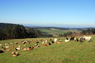 ‘Galicia Emprende Rural’ acercará ayudas a 70 proyectos de autónomos y emprendedores