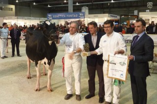 Los asturianos de Badiola Holstein triunfan en GandAgro 2015