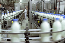 Las industrias recurren la normativa del paquete lácteo
