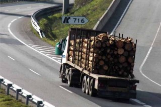 La industria forestal pide autorizar más carga en camiones de talas