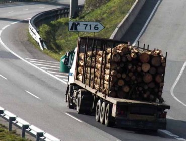 Fearmaga imparte un curso sobre logística forestal