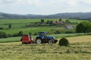 Calculan que el primer corte de hierba en Galicia se podría adelantar entre 7 y 20 días