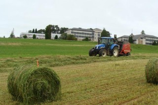 Evolución de la calidad del ensilado de hierba en las explotaciones gallegas