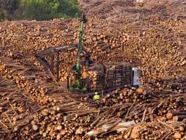 Actualización de la Agenda de Impulso de la Industria Forestal – Madera