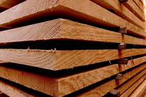 Empresarios de Confemadera Galicia visitan industrias de la madera y de la celulosa de Brasil