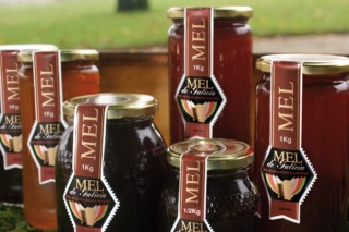 Galicia le pide al Ministerio que obligue a poner el país de origen en el etiquetado de la miel
