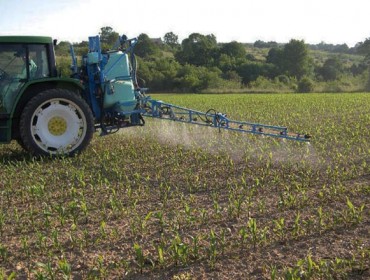Camix 560 SE, la nueva formulación del herbicida líder de Syngenta en maíz, más sostenible y adaptado al mercado
