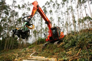 Propuestas para mejorar el asociacionismo forestal en Galicia