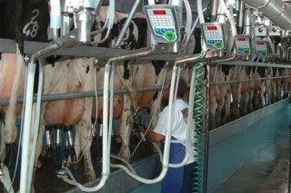 Control de la bacteriología de la leche