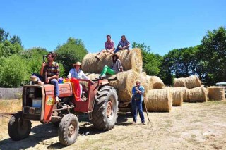 Este fin de semana se celebra en Monterroso el IV Festival Agrocuir de la Ulloa