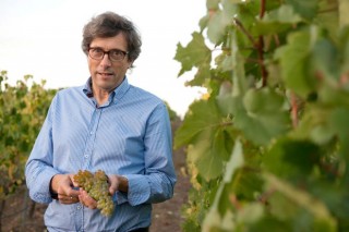 “Galicia debería tener una gran denominación de origen para sus vinos”
