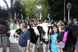 Unos 300 productores lácteos gallegos aún no solicitaron las ayudas de mínimis
