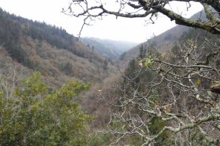 Aprobadas las ayudas para crear 16 parques forestales en Pontevedra