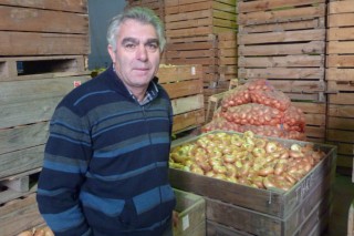 Cooperativa Postoiro, la primera productora de cebolla y puerro de Galicia