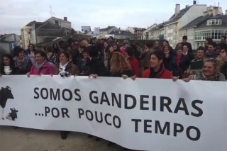 Cerca de doscientas ganaderas protestan en Lugo contra los bajos precios de la leche