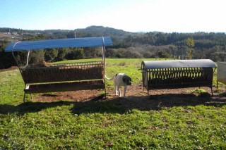 Ovica pide mejoras en las ayudas de incorporación para ganaderías de ovino o caprino