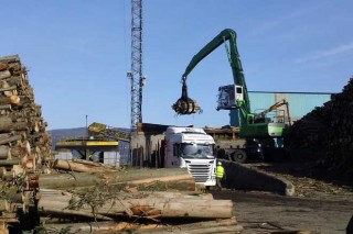 Paro en el transporte de madera a las factorías de Ence en Pontevedra y Navia