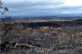 Medio Rural identifica 500 hectáreas abandonadas en Cualedro y Oímbra que proyecta recuperar