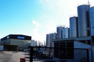 El Grupo Lactalis apenas incrementó un 2,5% la recogida de leche en Galicia en 2019