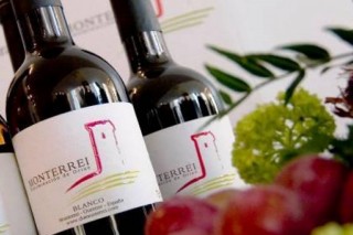 Los 11 vinos de la D.O. Monterrei galardonados en las Distinciones Gallaecia