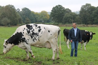 “Si logramos unir a las cooperativas de la Cornisa Cantábrica gestionaríamos más del 50% de la leche de España”