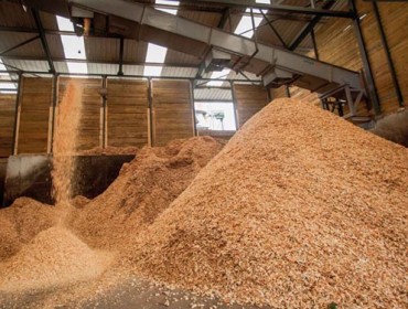Cómo el mercado de pellets se vio enredado en un ‘efecto papel higiénico’