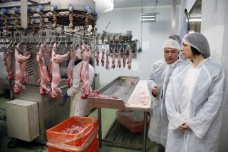 Nueva etapa en el sector cunícola con acuerdos obligatorios entre productores y mataderos