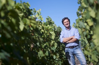 Rafael Palacios: “En valle del Bibei se pueden hacer grandes vinos”