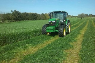 En 2016 volvió a bajar la calidad de los ensilados de hierba en Galicia