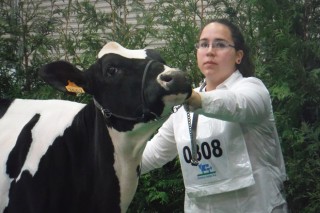 “Hay mucho que mejorar en el manejo de las vacas secas en Galicia”
