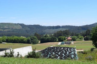 Preguntas y respuestas sobre las ayudas del pago verde en Galicia