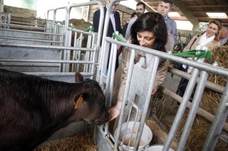 Nuevo ciclo en Sergude de técnico superior en ganadería y asistencia en sanidad animal