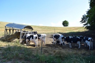 El Ministerio propone primar a las pequeñas explotaciones lácteas en el reparto de las ayudas europeas