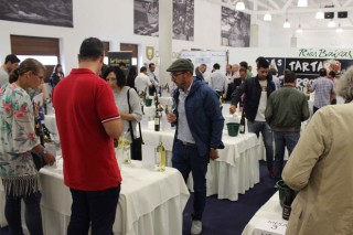 Cata concurso y túnel de vinos en Rías Baixas