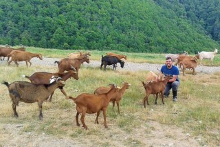 De Barcelona a Samos para ser ganadero de cabra y oveja gallegas