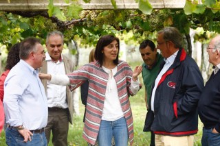 La IGP  Vinos “Ribeiras do Morrazo” ya cuenta con reconocimiento en España
