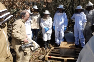 Jornada técnica de apicultura el próximo sábado en Celanova