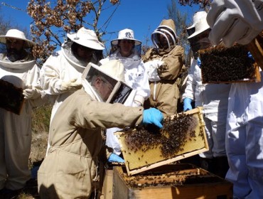 Curso en A Gudiña sobre manejo del apiario e identificación y tratamiento de las enfermedades en las colmenas