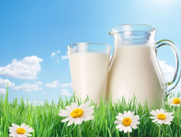 Tendencias en el mercado lácteo: valorización de la proteína, leche ecológica y diferenciación por la calidad