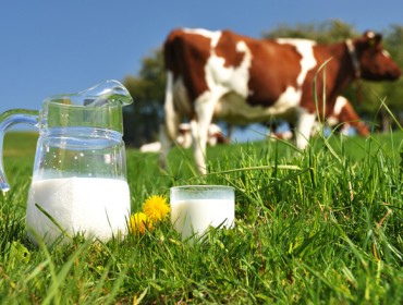 El precio de la leche sigue escalando a niveles récord en la Unión Europea: Media de 0,48 euros en junio