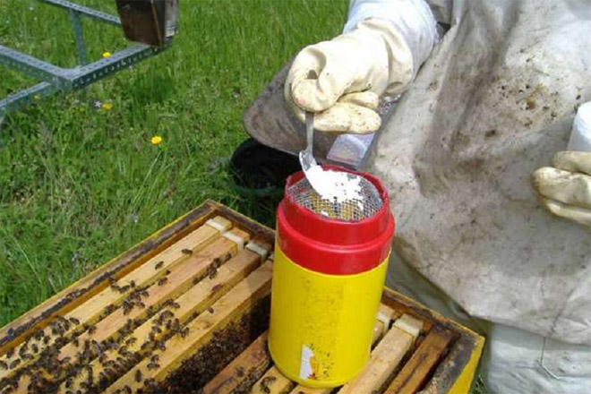 Tratamiento de las colmenas Las colonias de apicultores Prueba de Varroa Control de Varroa en Abejas ApiTienda| Varroa Tester 3 en 1 