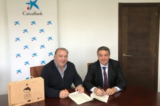 CaixaBank financiará nuevas plantaciones de castaños en Galicia