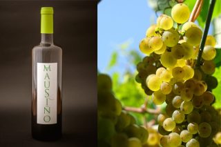 Presentan «Mausiño», el primero vino elaborado a partir de la variedad autóctona gallega Ratiño