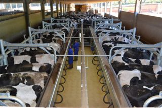 Jornada sobre «Escenarios para la producción de leche en Galicia»