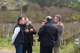 La Evega organizará en junio el “I Encuentro de Viticultura Galicia-Norte de Portugal”