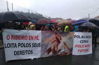 Daños de la helada: Más de 1.500 personas exigen en el Ribeiro ayudas para los viticultores