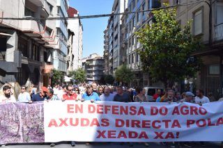 Más de 2.000 viticultores denuncian en Ourense el “abandono” de la Xunta ante los daños de las heladas