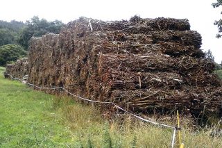 La planta de biomasa de Curtis consumirá sólo restos forestales de tala