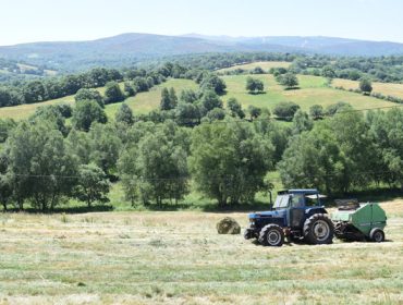Consulta de la Comisión Europea a agricultores y ganaderos sobre los cambios que reclaman en la PAC