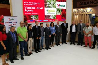 Vegalsa Eroski prevé facturar 1,5 millones de euros en produtos de huerta de las cooperativas gallegas
